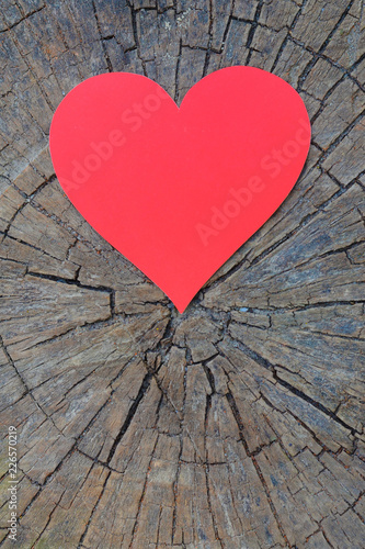 Red heart on a background of beautiful wood texture with cracks.