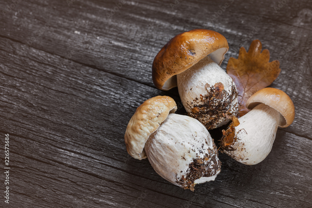 Boletus on wooden background. Porcini Mushrooms