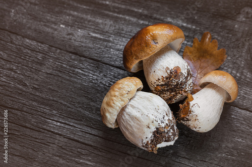 Boletus on wooden background. Porcini Mushrooms