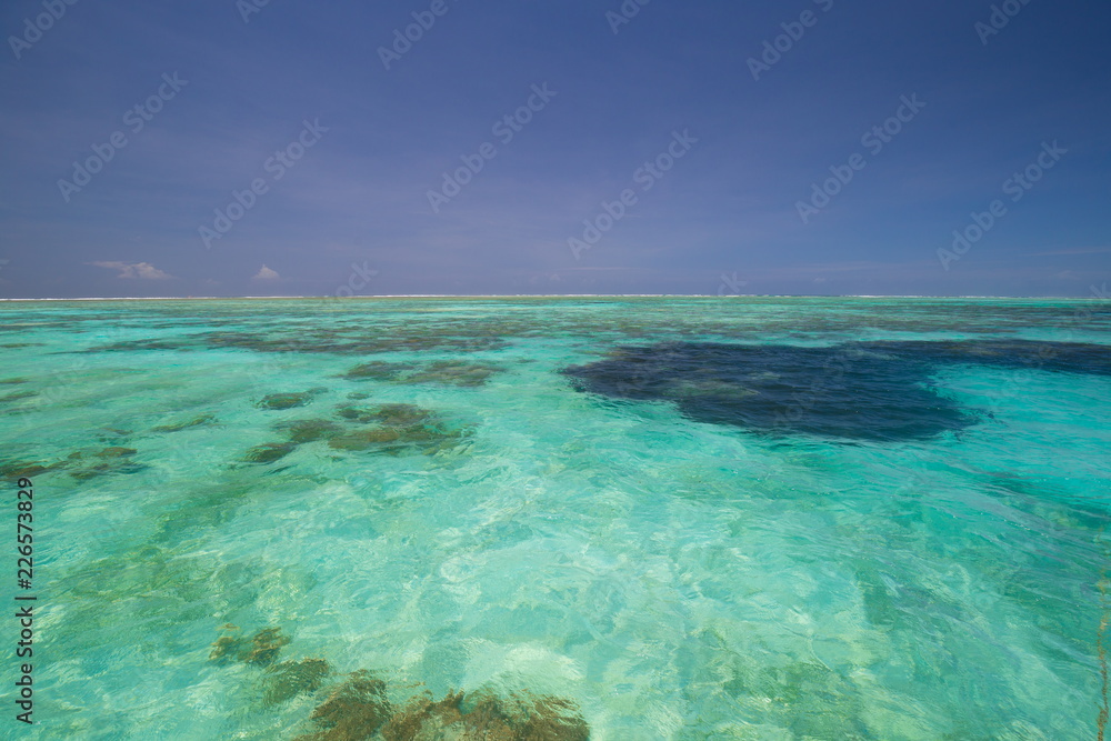 Fototapeta premium Zanzibar, landscape sea, coral reef