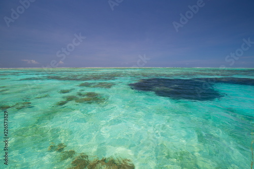 Zanzibar, landscape sea, coral reef