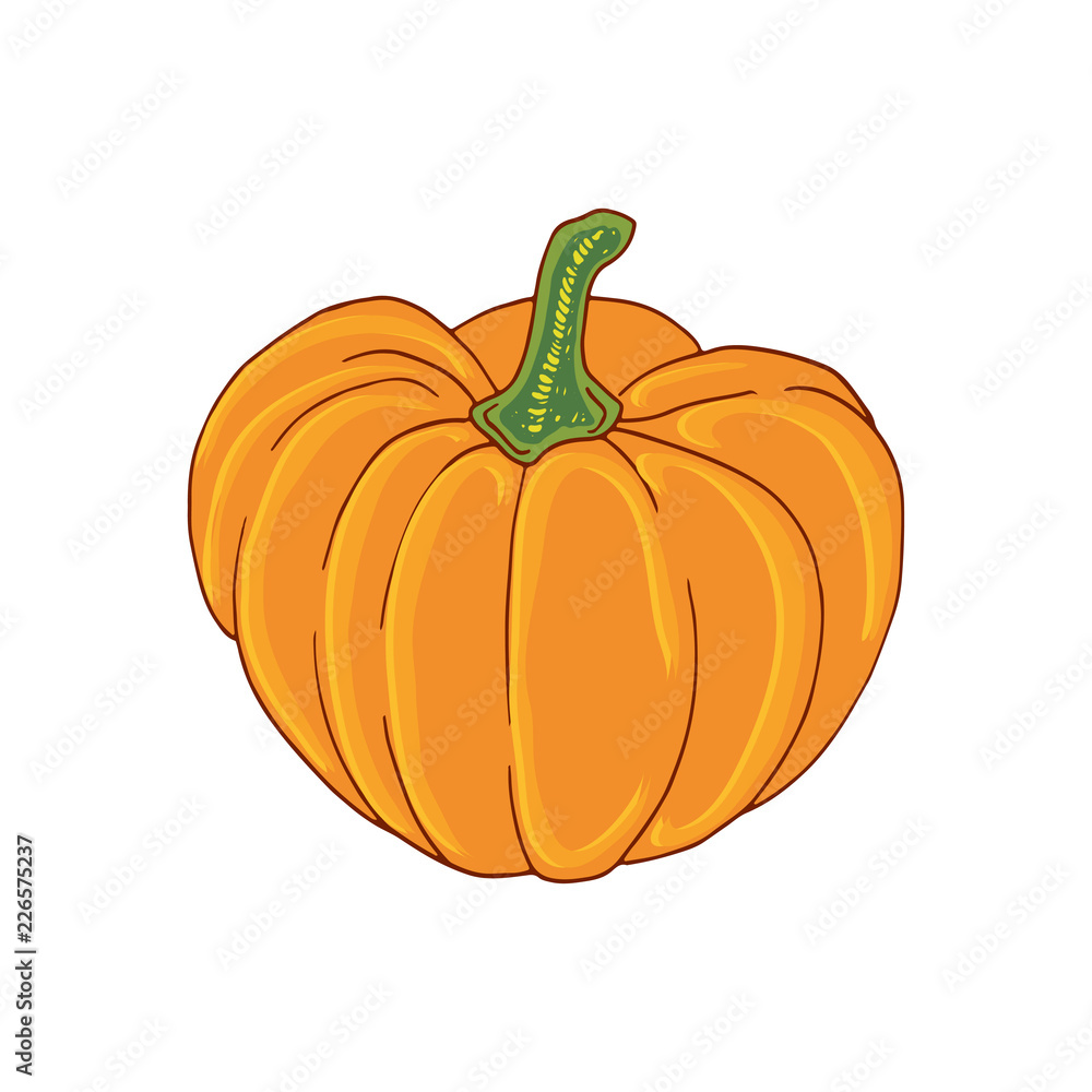 Pumpkin illustration. Vegetable organic print. Sticker patch design. Pumpkin illustration. Vegetable organic print. Sticker patch design.