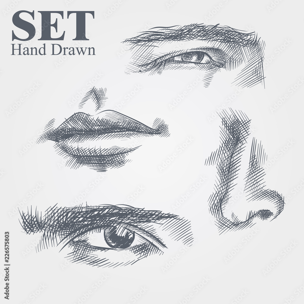 Set of Hand drawn sketches of face parts, nose, eyes, Eyebrows and ...