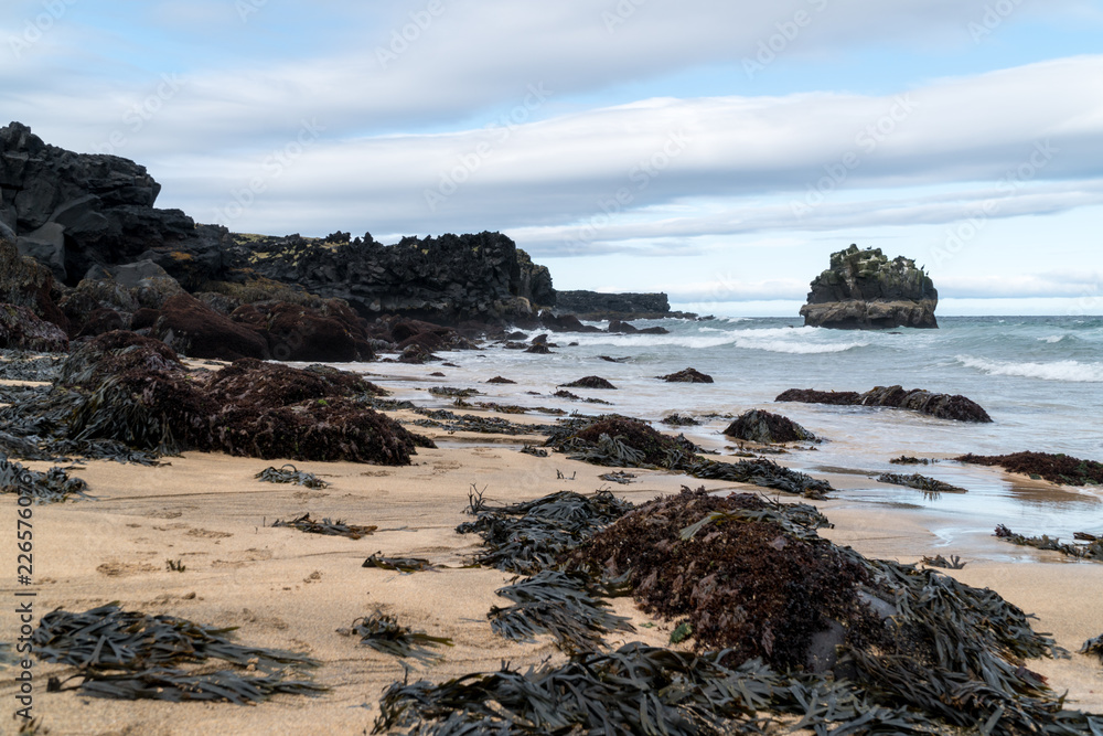 Light beach with black rocks and muddy seagrass