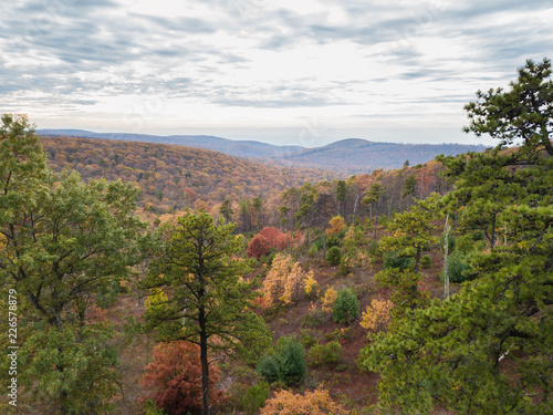 Aerial of Michaux State Forest in Pennsylvania During Fall in the Mountains