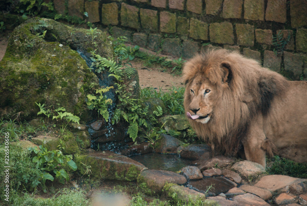 Naklejka premium This Photos can use for a calm place