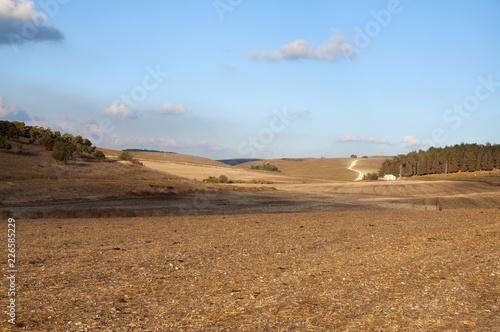 The Menashe Hills