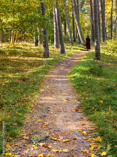 Autumnal forerst in dune area of Jurmala - famous tourist resort in Latvia, EC