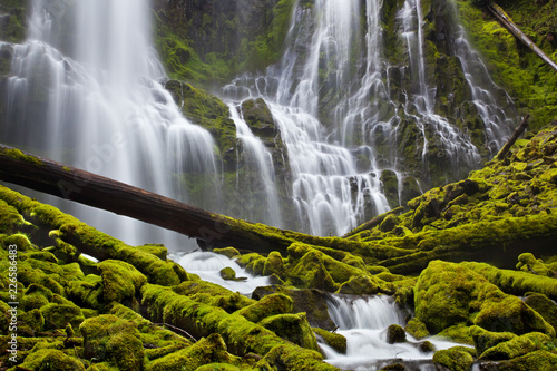 Proxy Falls in Oregon with mossy rocks and logs