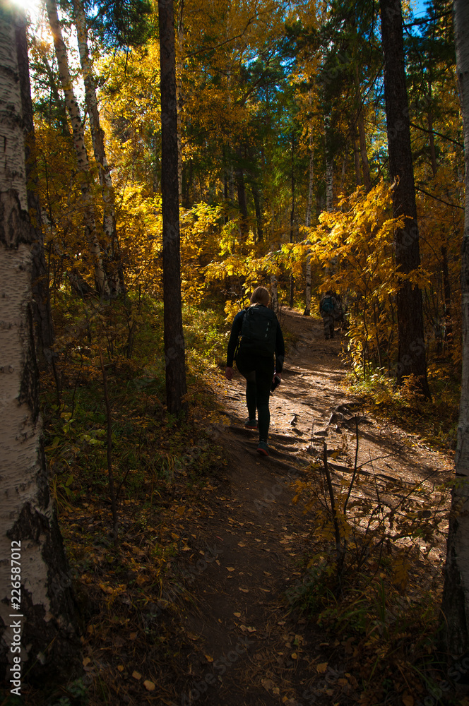 Fototapeta premium Tourist girl and beautiful autumn nature