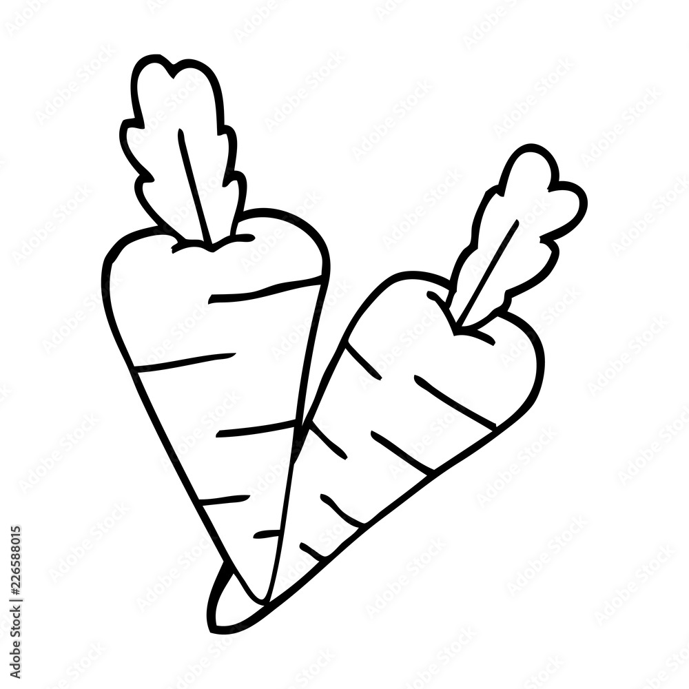 line drawing cartoon organic carrots Stock Vector | Adobe Stock line drawing cartoon organic carrots Stock Vector | Adobe Stock