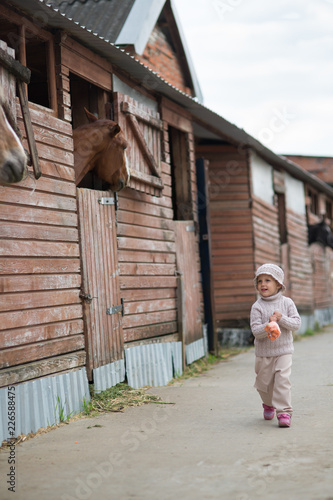 Little Girl feeds the horses