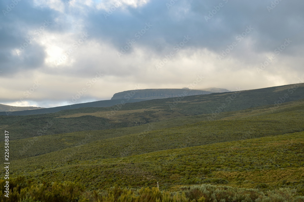 High altitude moorland and giant groundsels at Mount Kenya