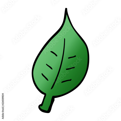 cartoon doodle autumnal leaf