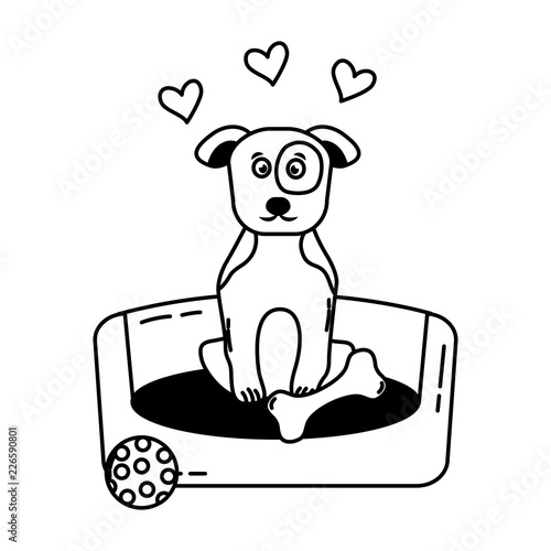 cute dog sitting in bed with toys