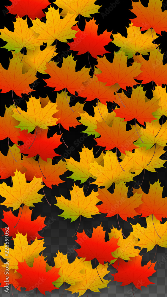 September Vector Background with Golden Falling Leaves. Autumn Illustration with Maple Red, Orange, Yellow Foliage. Isolated Leaf on Transparent Background. Bright Swirl. Suitable for Posters. September Vector Background with Golden Falling Leaves. Autumn Illustration with Maple Red, Orange, Yellow Foliage. Isolated Leaf on Transparent Background. Bright Swirl. Suitable for Posters.