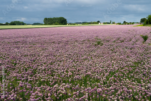 Bornholm Aakirkeby
