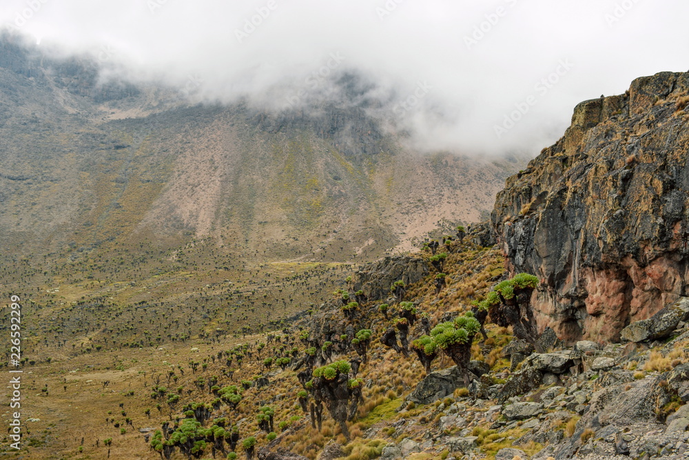 Volcanic rock formations at Mount Kenya, Kenya