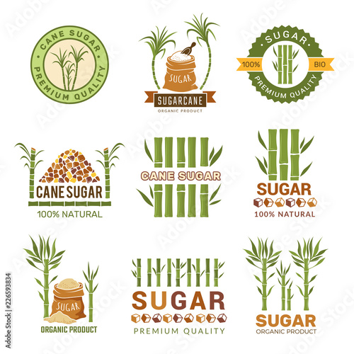 Sugarcane plants. Harvest farm sweets granulated production leaf vector symbols isolated. Sugarcane farm, organic stem illustration