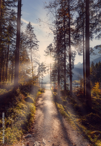 Wonderful natural background. Magical scenic and pathway through woods in the morning sun. Dramatic scene and picturesque picture. Location place Germany Alps, Europe. Awesome sunny landscape