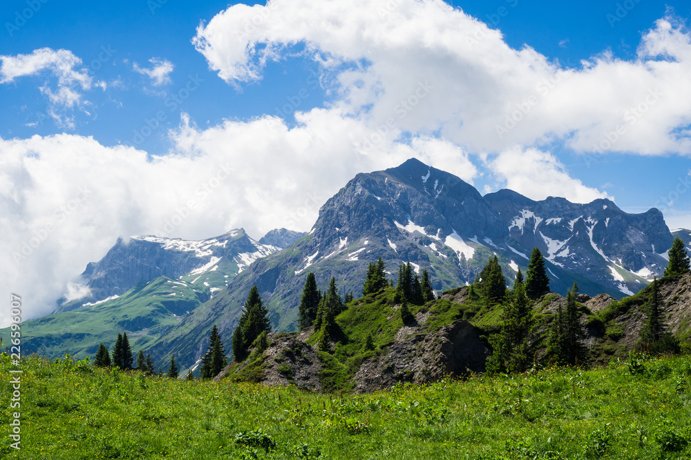 Fototapeta premium OLYMPUS DIGITAL CAMERA