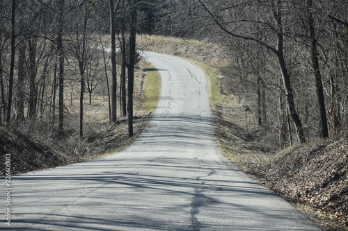 Country road in early spring