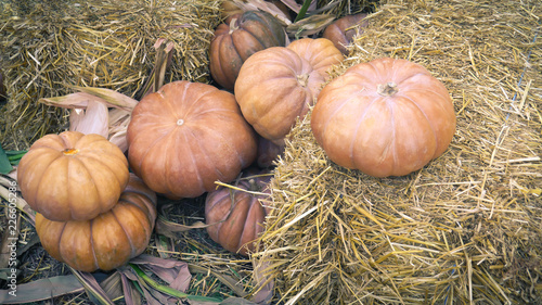 Pile of pumpkins sitting next to a bale of hay. Rustic theme marking the beginning of autumn and fall.