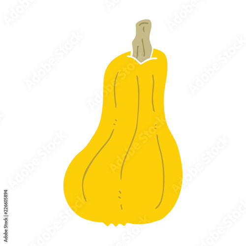 flat color style cartoon squash