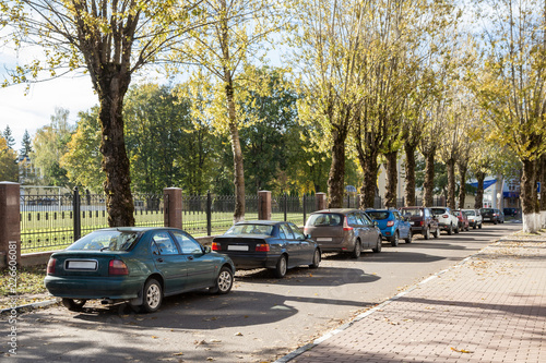 Cars parked in a row standing in an tree alley near the stadium
