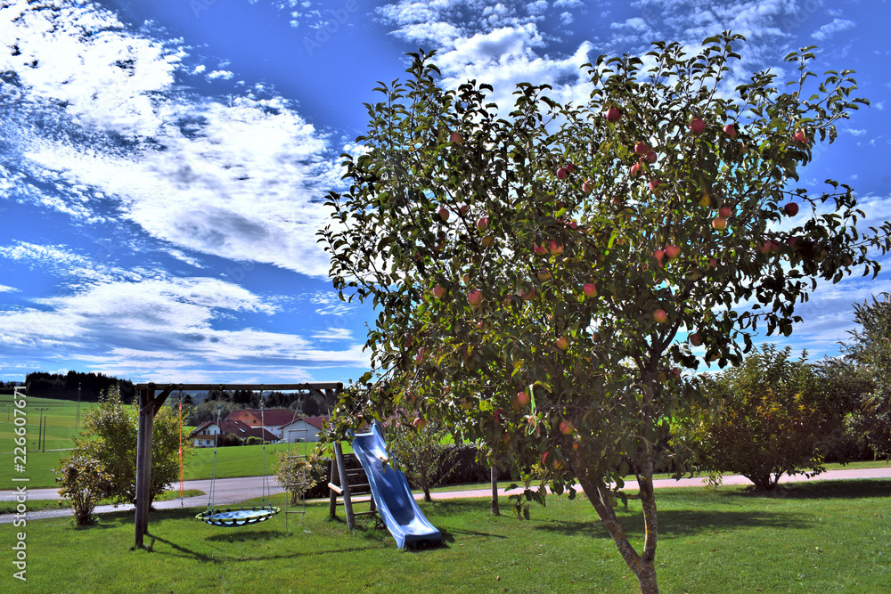 Apple Tree