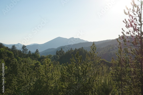 Paysage de montagne