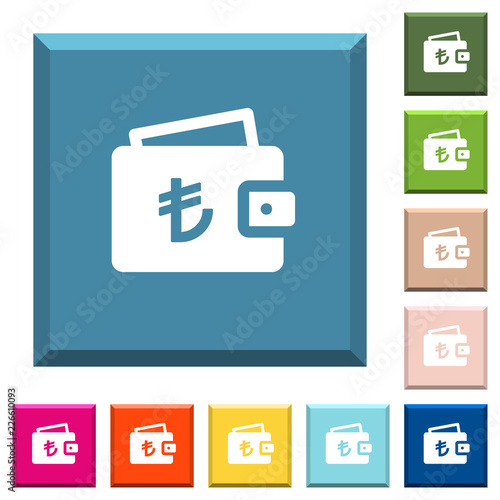 Turkish Lira wallet white icons on edged square buttons
