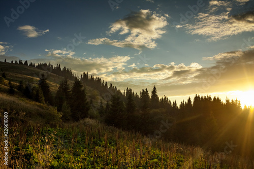Evening mountain landscape with spruce forest in the middle and sunset sky on the background