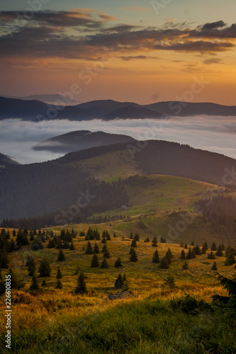 Beautiful mountain landscape with grass on the foreground and fog between summits on the background