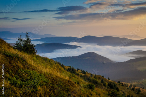 Fototapeta Naklejka Na Ścianę i Meble -  Beautiful mountain landscape with grass on the foreground and fog between summits on the background