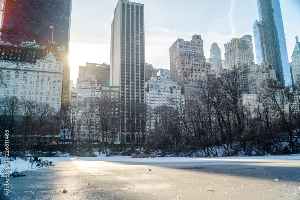 Fototapeta premium Blick auf Hochhäuser im Central Park Winter