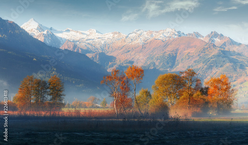 Majestic Misty Scene in Alpine Highland under Sunlight. Panoramic view of beautiful mountain landscape in Alps. impressively picture of wild area, in Austria. Beauty in the world. Autumn Scenery. © jenyateua