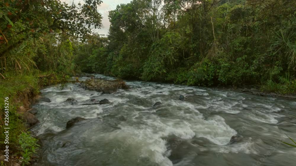 The Rio Mindo running through montane rainforest in Western Ecuador in the early morning.Time-lapse. The Rio Mindo running through montane rainforest in Western Ecuador in the early morning.Time-lapse.