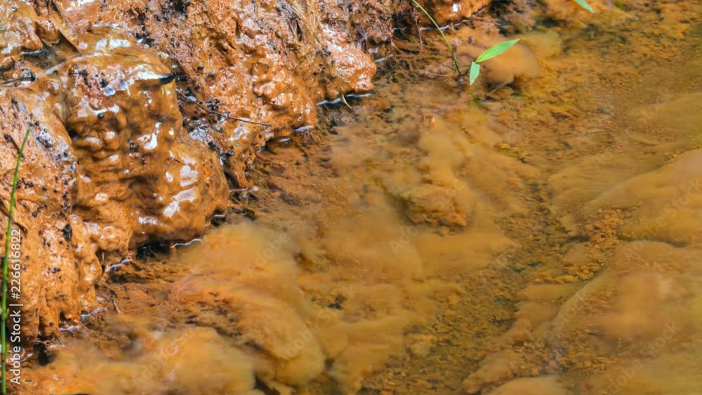 Stockvideon Iron bacteria growing in a spring. These