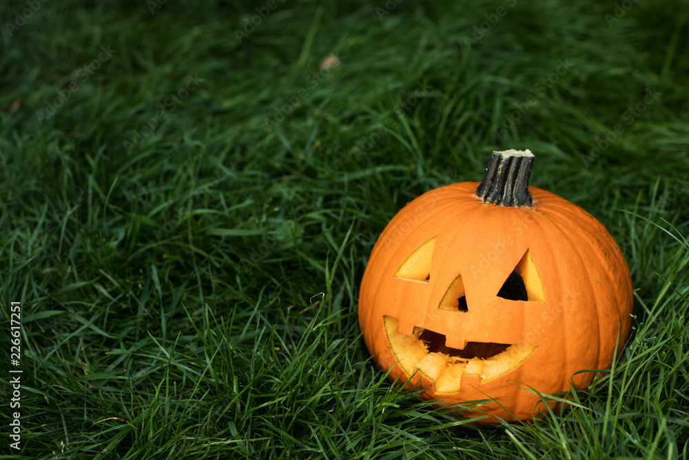 halloween carved pumpkin decoration