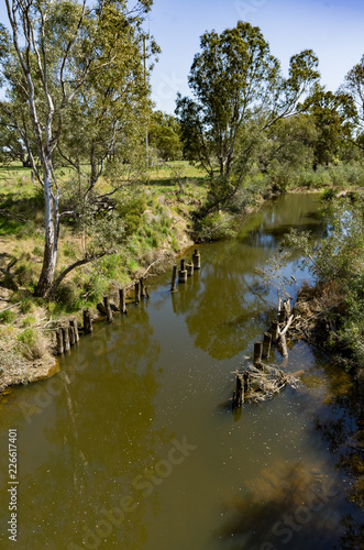 Loddon River Downstream vert