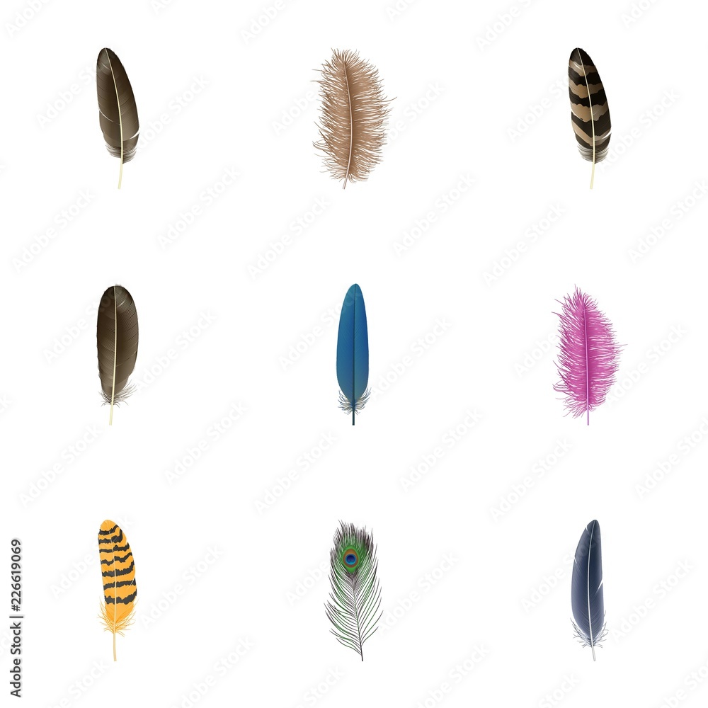 Feather icon set. Realistic set of feather vector icons for web design isolated on white background Feather icon set. Realistic set of feather vector icons for web design isolated on white background
