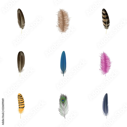 Feather icon set. Realistic set of feather vector icons for web design isolated on white background