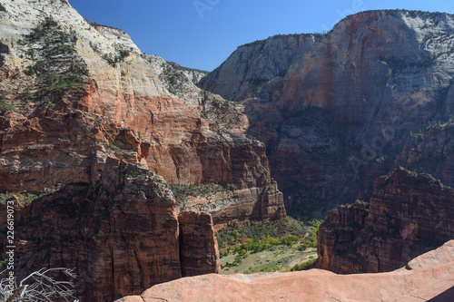 High Above Zion Valley on a Trail