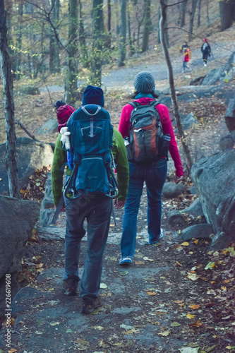 Wallpaper Mural Family Hiking in the Woods Torontodigital.ca