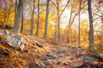 Hiking rocky trail through colorful orange foliage fall autumn forest with many leaves, rocks, stones on path in Harper's Ferry, West Virginia, sun behind sunburst trees, fallen leaf