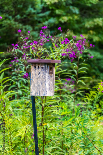 Old Birdhouse in Garden © dbvirago