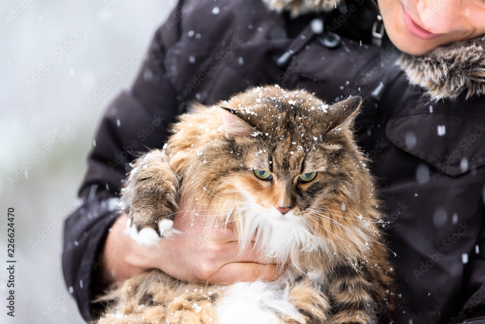 Closeup of young happy man holding maine coon cat outside