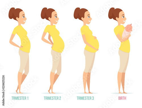 Pregnancy stages. Happy mom with newborn child female pregnancy trimesters vector characters isolated. Illustration of motherhood, pregnant female