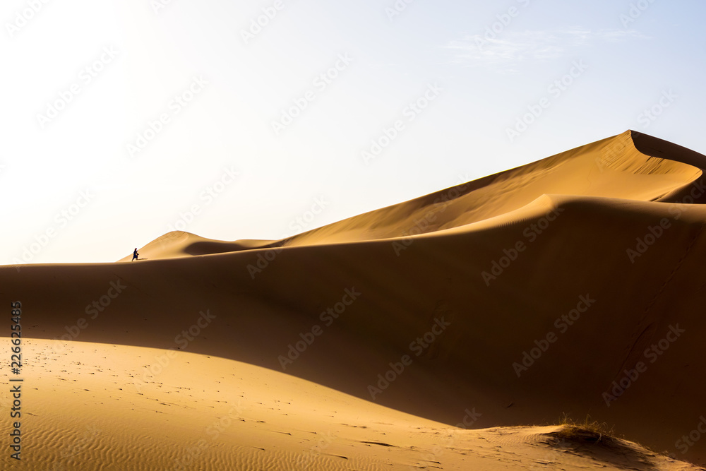 in the desert